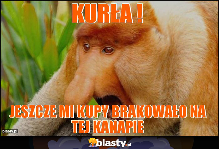 Kurła !