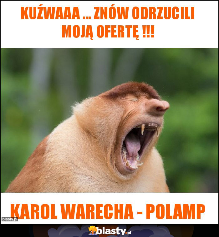 KUŹWAAA ... ZNÓW ODRZUCILI MOJĄ OFERTĘ !!!