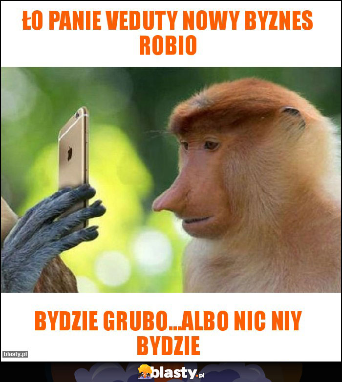 Ło Panie Veduty nowy byznes robio