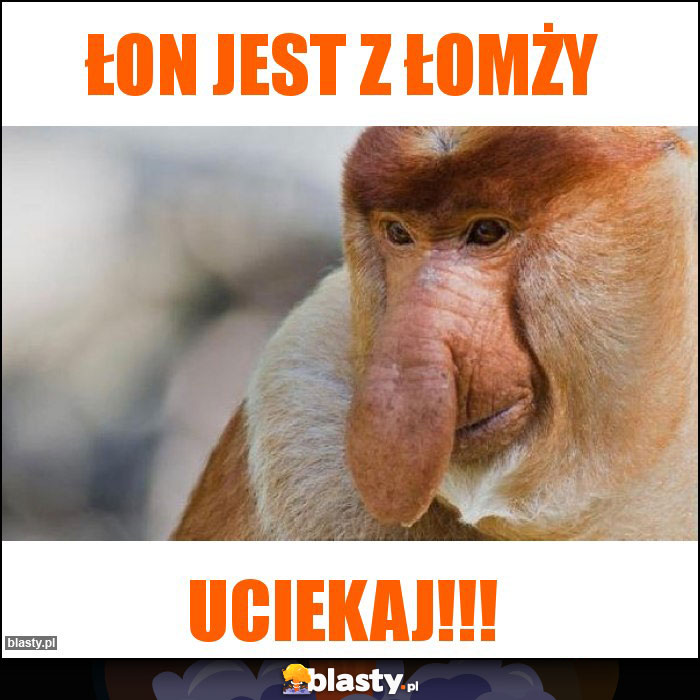 Łon jest z łomży