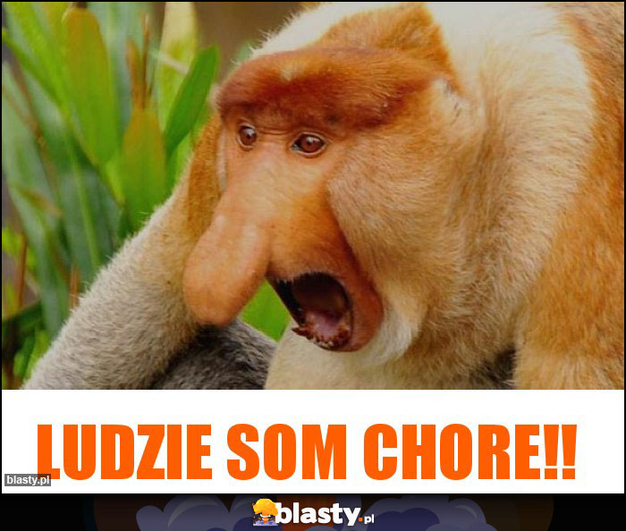 Ludzie som chore!!