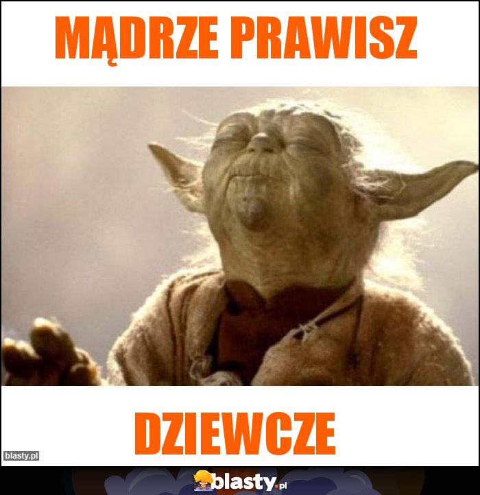 Mądrze prawisz