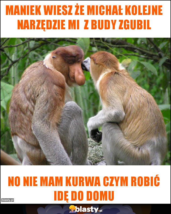 Maniek Wiesz że Michał kolejne narzędzie mi  z budy zgubil