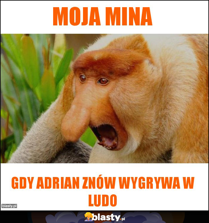 Moja mina