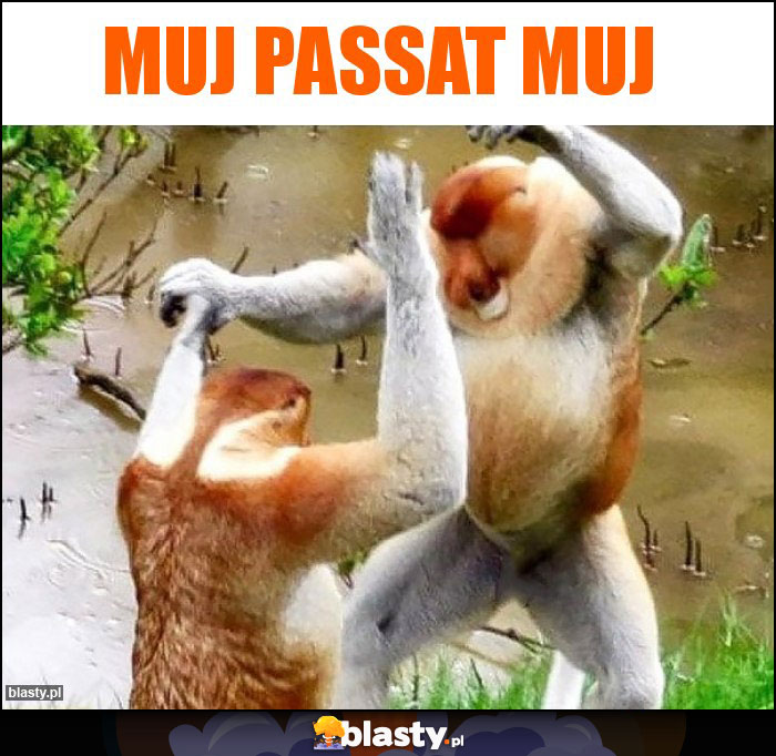 Muj passat Muj