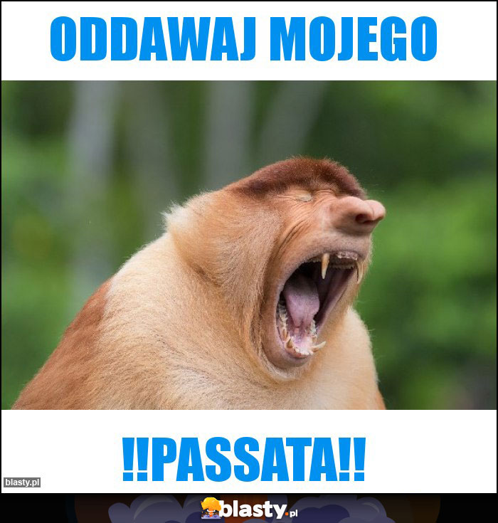 ODDAWAJ MOJEGO