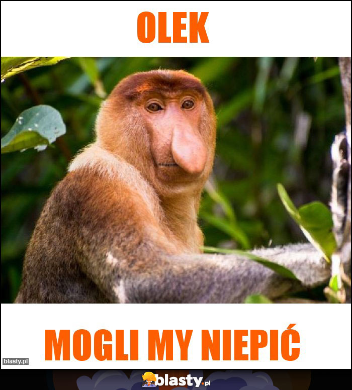 Olek