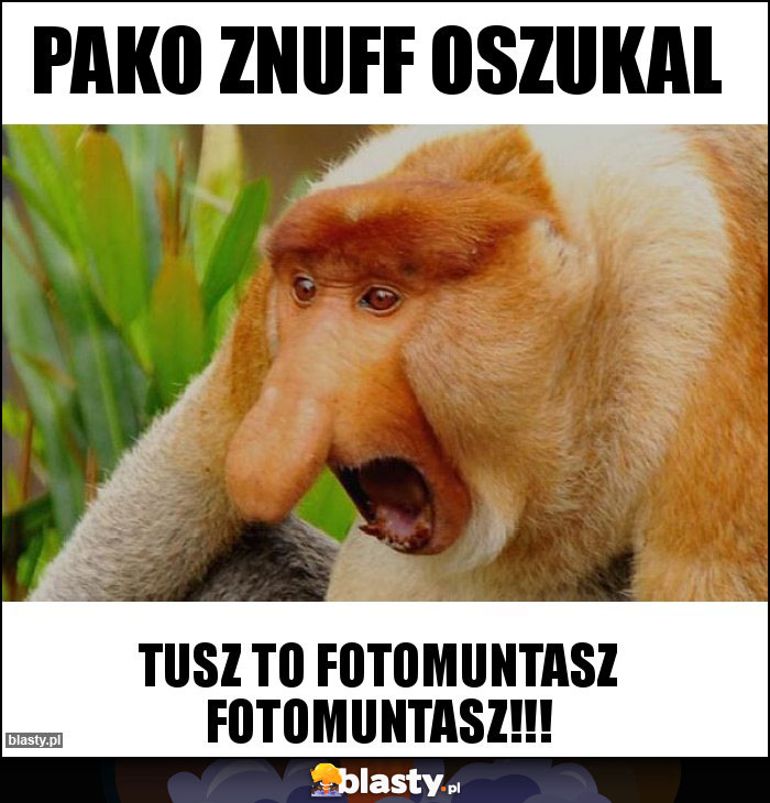 Pako znuff oszukal