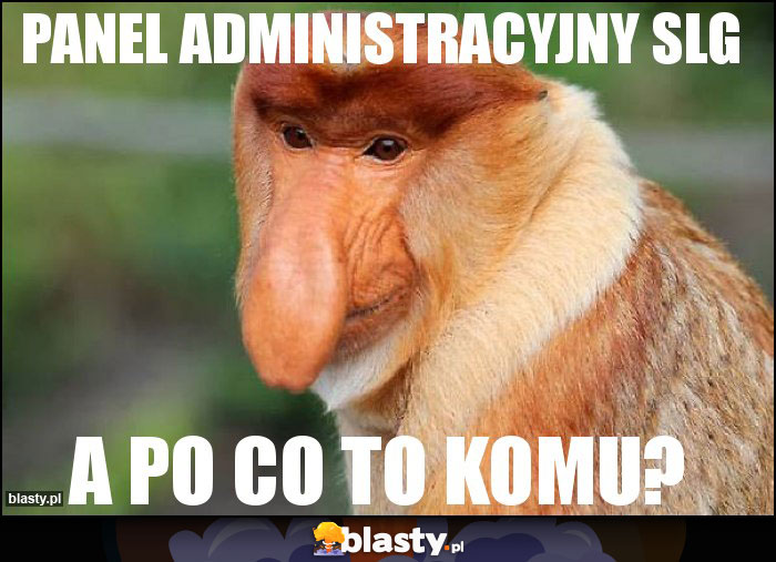 PANEL ADMINISTRACYJNY SLG