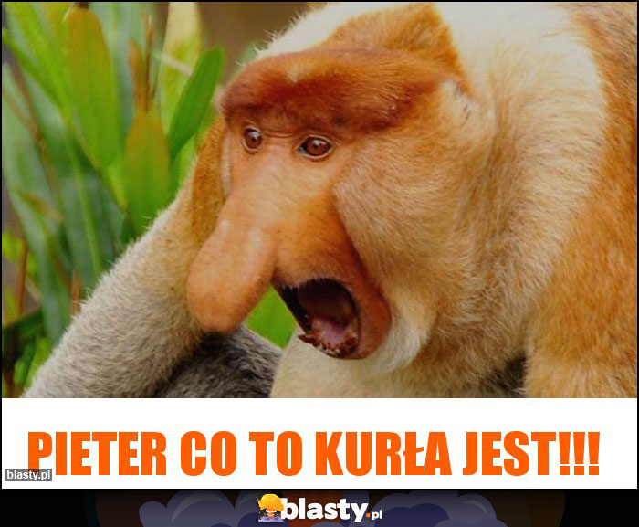 Pieter co to kurła jest!!!