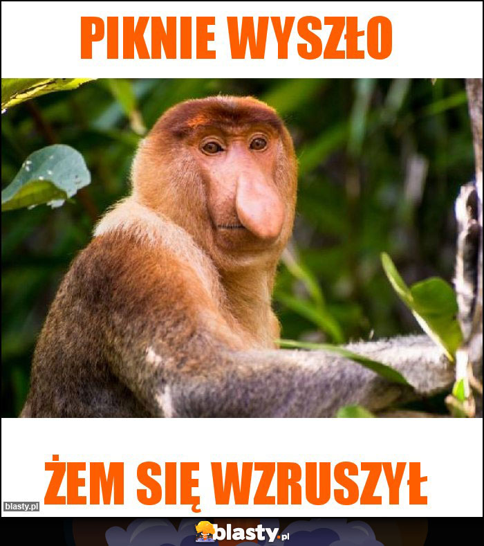 Piknie wyszło