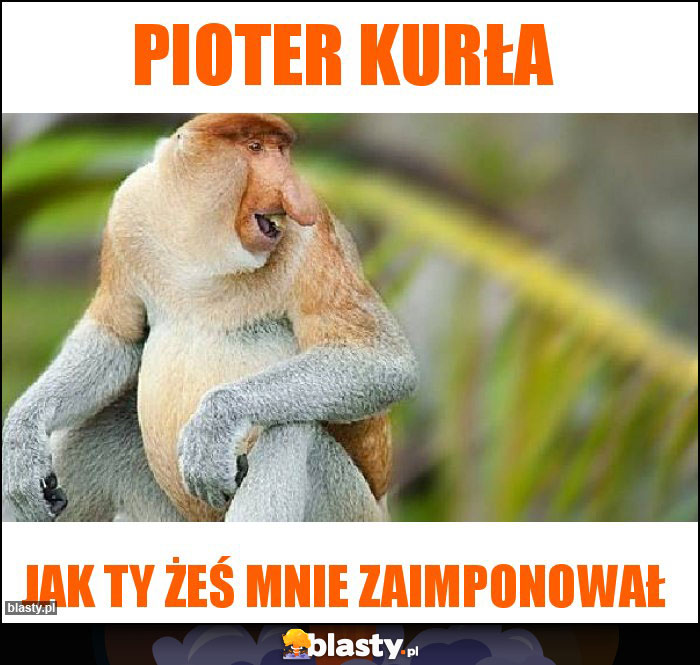 Pioter kurła