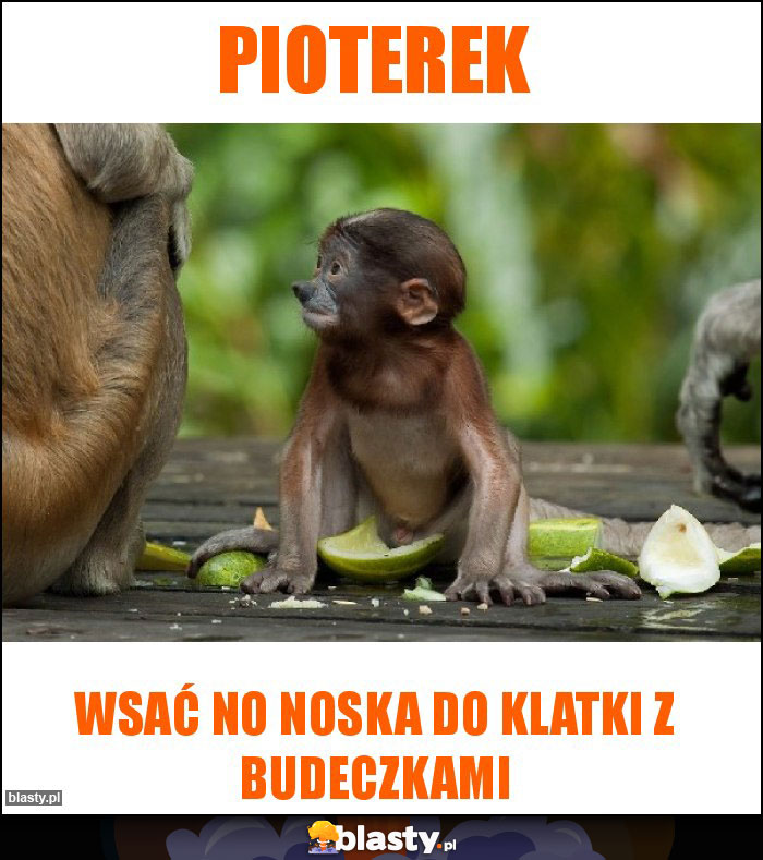 Pioterek