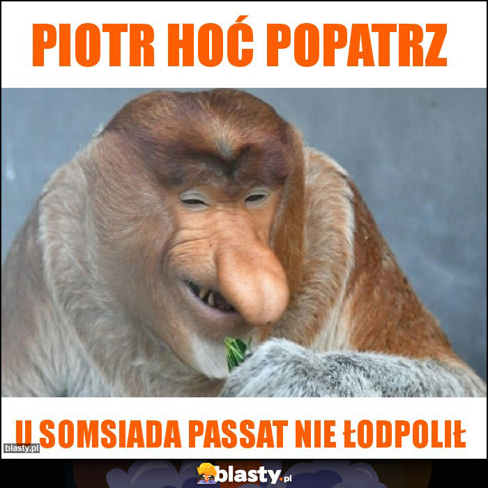 Piotr hoć popatrz