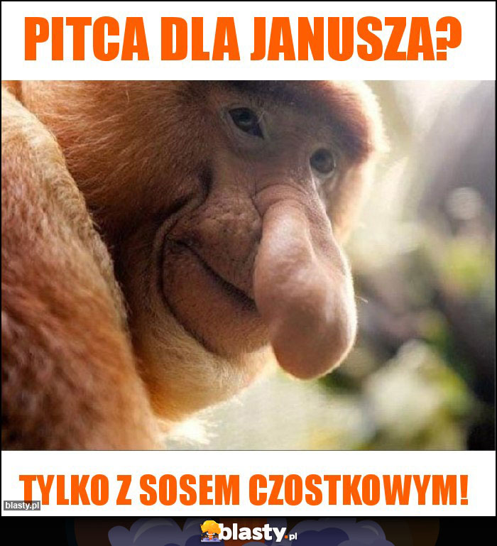 Pitca dla Janusza?