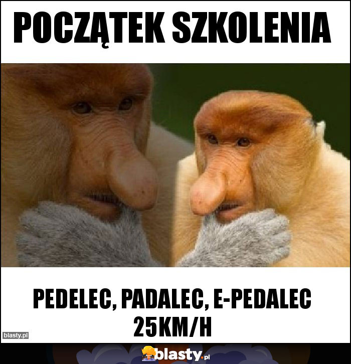 POCZĄTEK SZKOLENIA