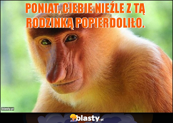 Poniat, Ciebie nieźle z tą rodzinką popierdoliło.