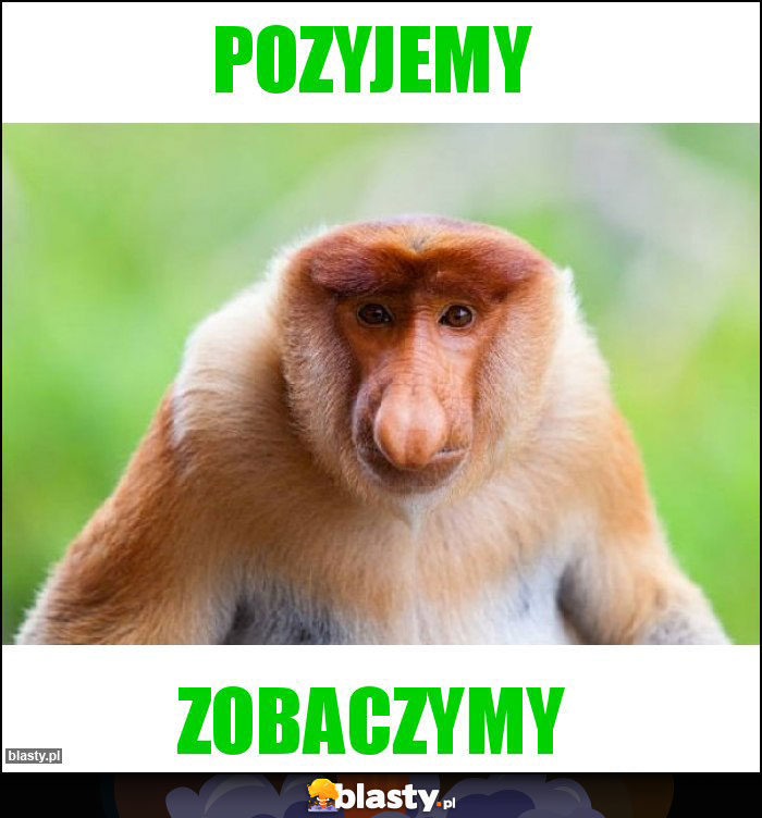 Pozyjemy