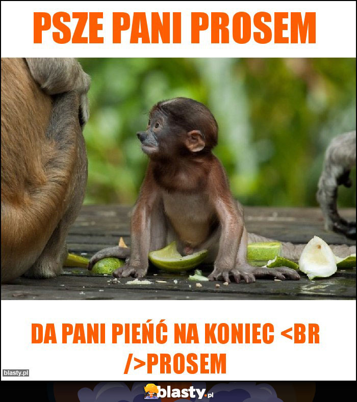 Psze pani prosem