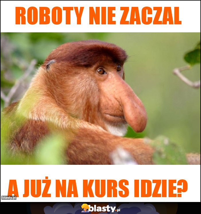 Roboty nie zaczal