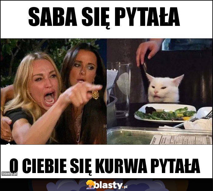 Saba się pytała