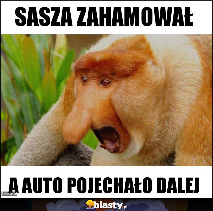 Sasza zahamował