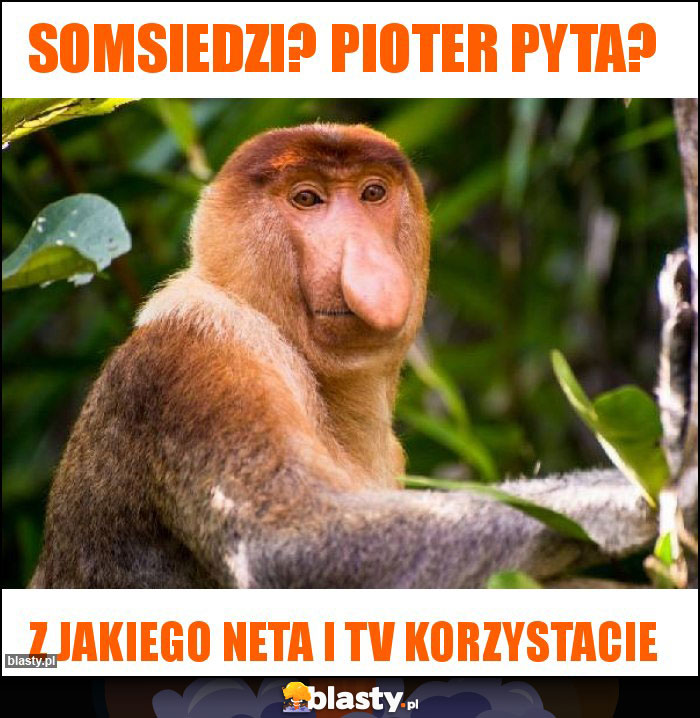 Somsiedzi? Pioter Pyta?