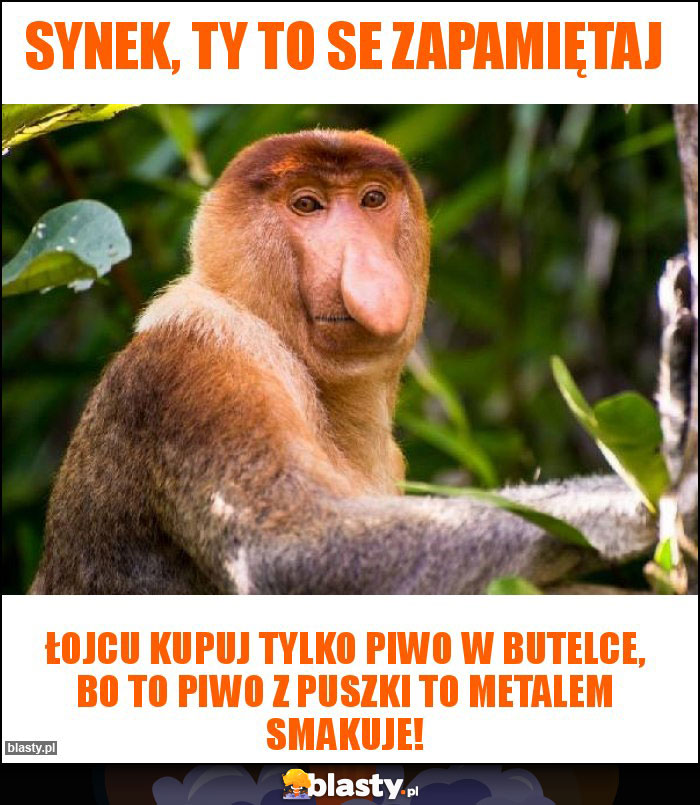 Synek, Ty to se zapamiętaj