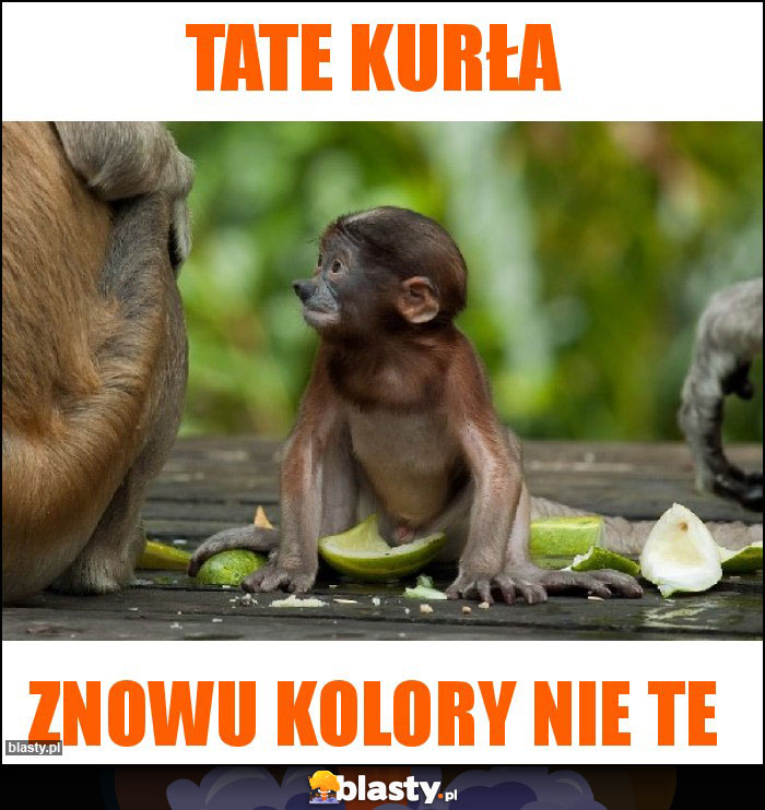 Tate kurła