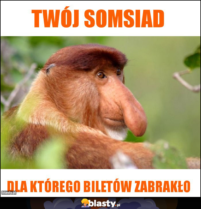 twój somsiad