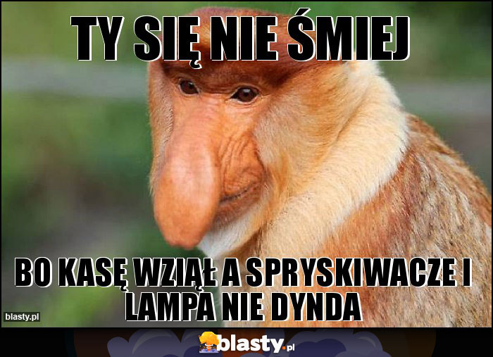 Ty się nie śmiej