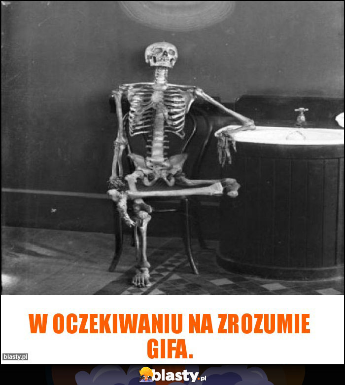 W oczekiwaniu na zrozumie gifa.