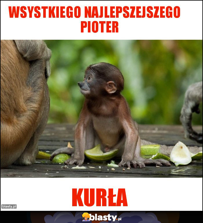 WSYSTKIEGO NAJLEPSZEJSZEGO     PIOTER