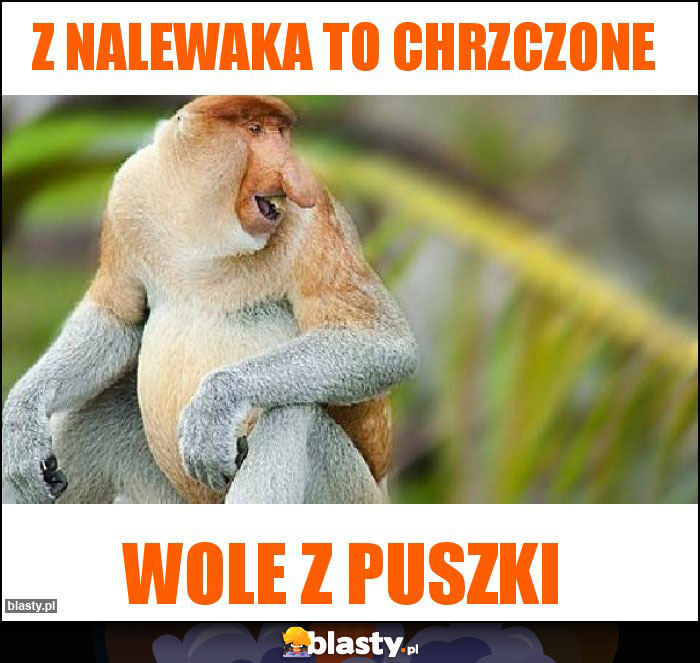 Z nalewaka to chrzczone