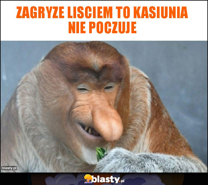 Zagryze lisciem to Kasiunia nie poczuje