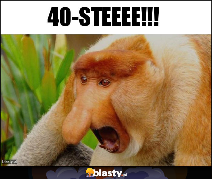 40-STEEEE!!!