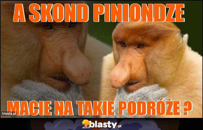 A skond piniondze