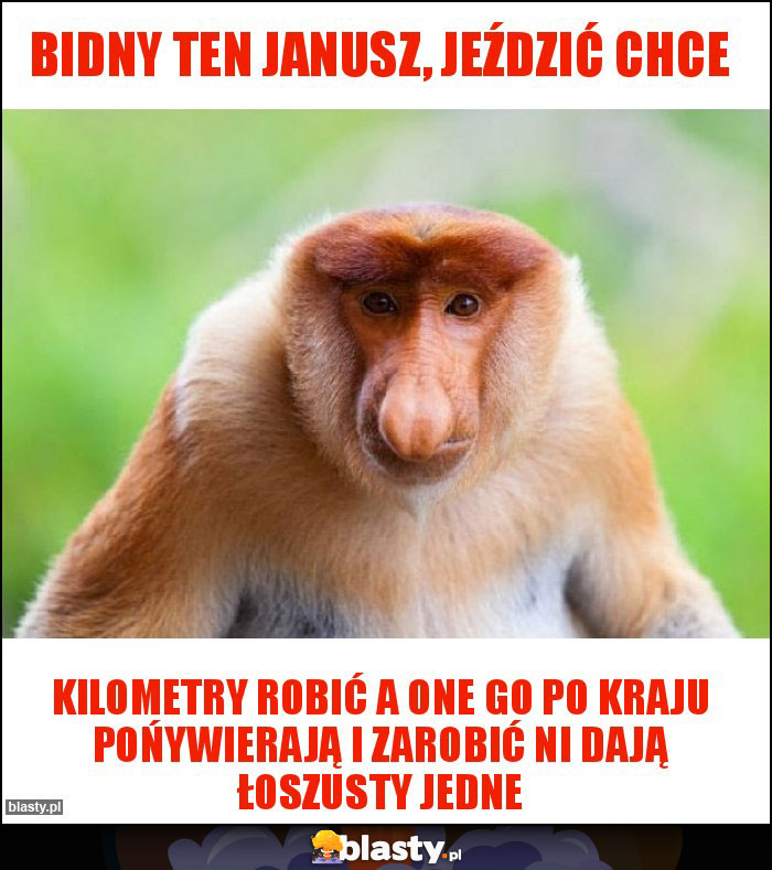 Bidny ten Janusz, jeździć chce