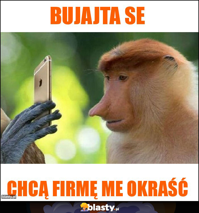 Bujajta se