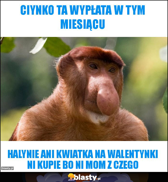 Ciynko ta wypłata w tym miesiącu