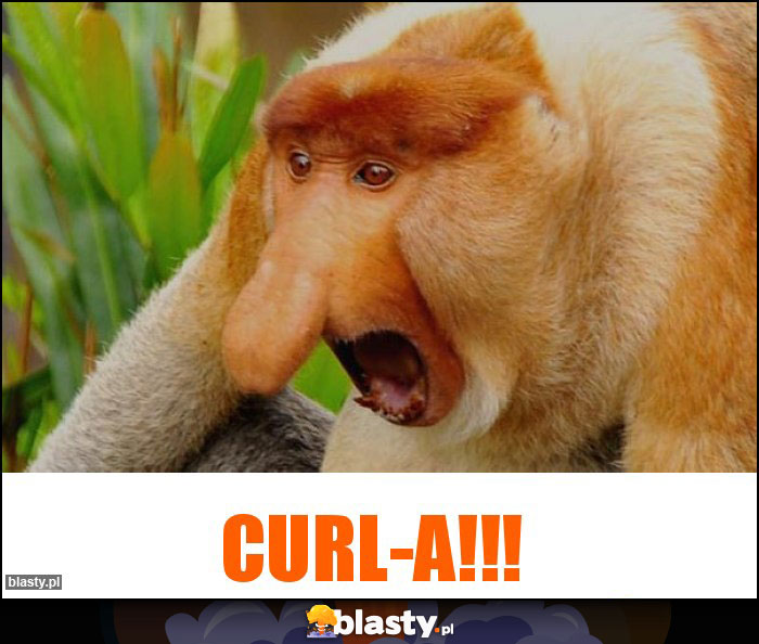 CURL-a!!!