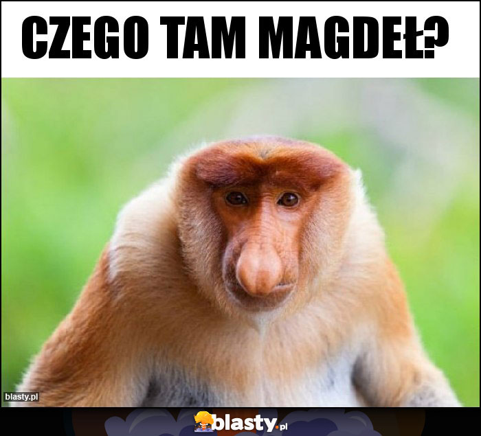 CZEGO TAM MAGDEŁ?