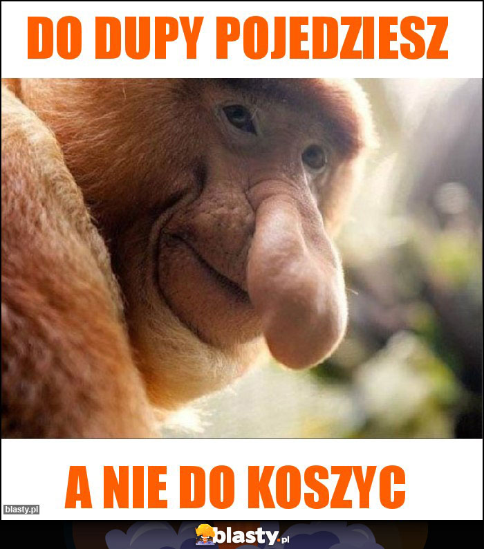 Do dupy pojedziesz