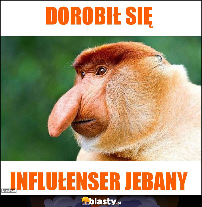 dorobił się