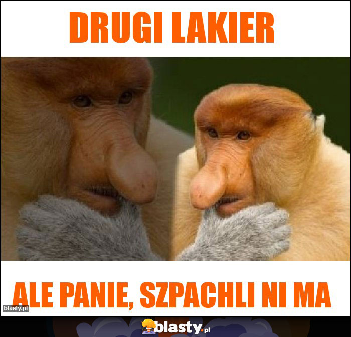 Drugi lakier