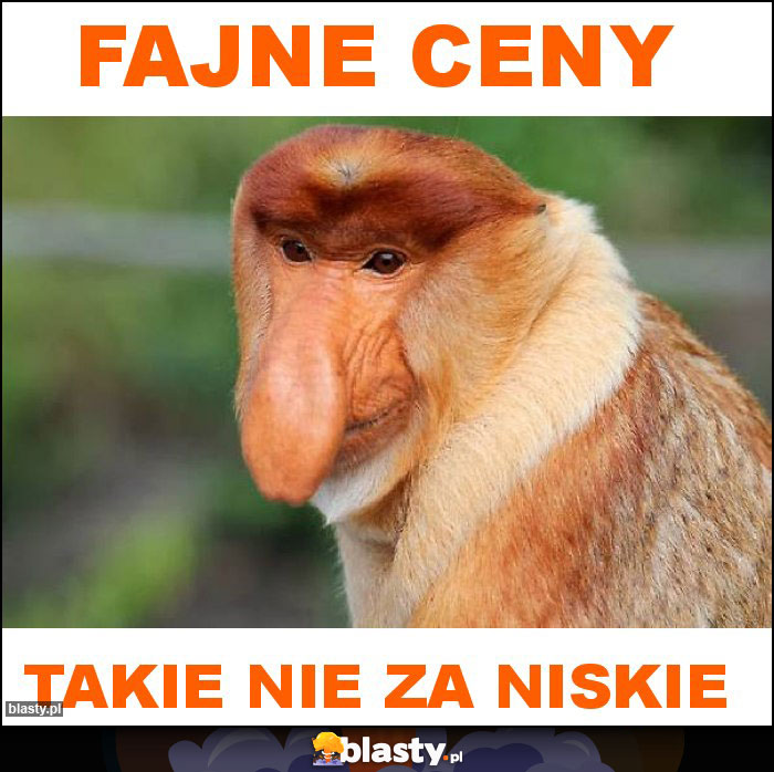 Fajne ceny