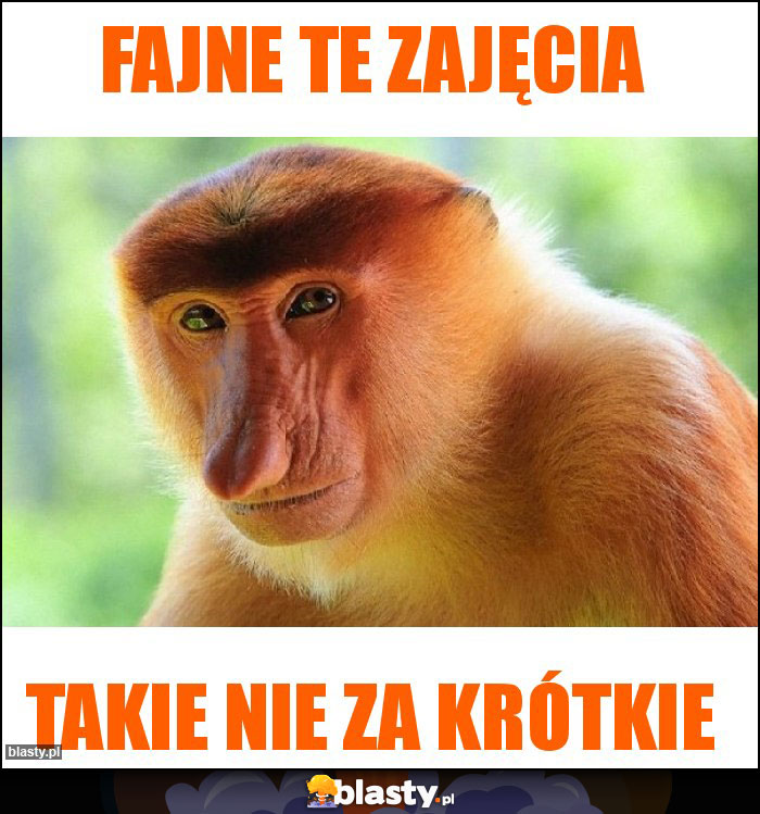 FAJNE TE ZAJĘCIA