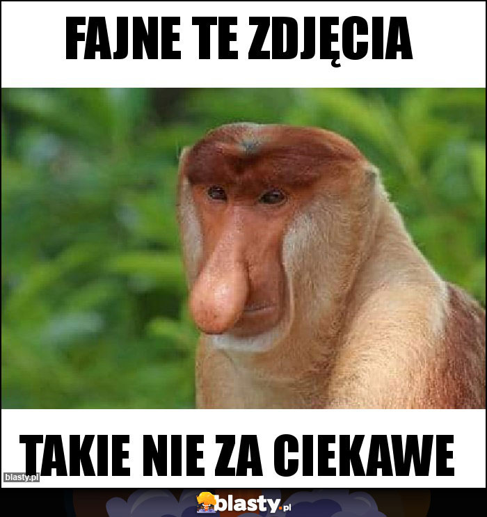 Fajne te zdjęcia