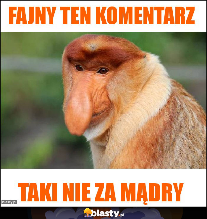 Fajny ten komentarz