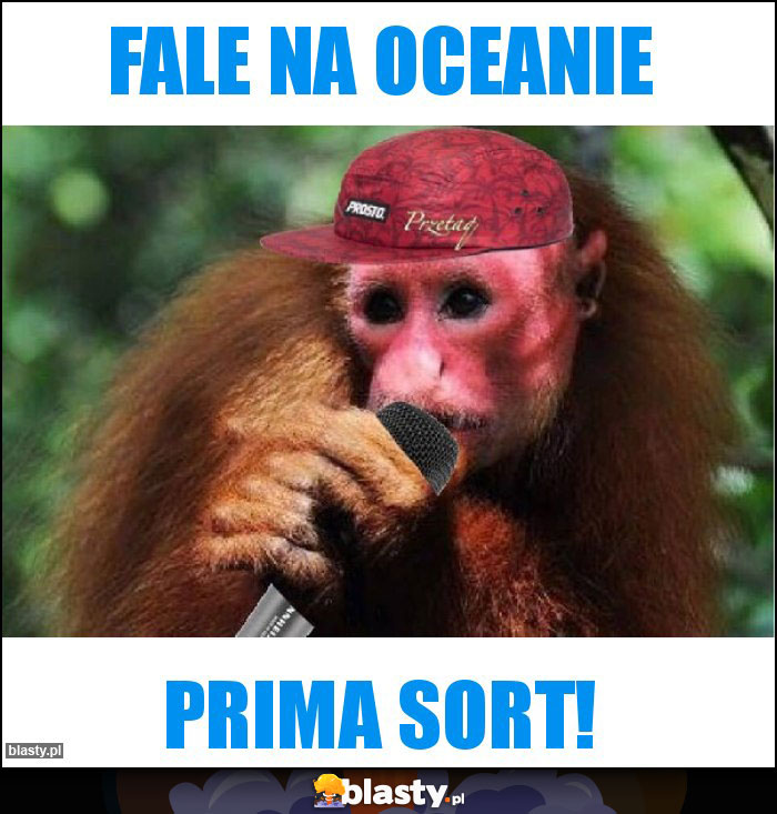 Fale na oceanie